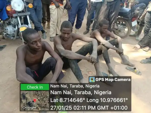 Again, troops arrest suspected cattle rustlers, recover stolen cows in Taraba