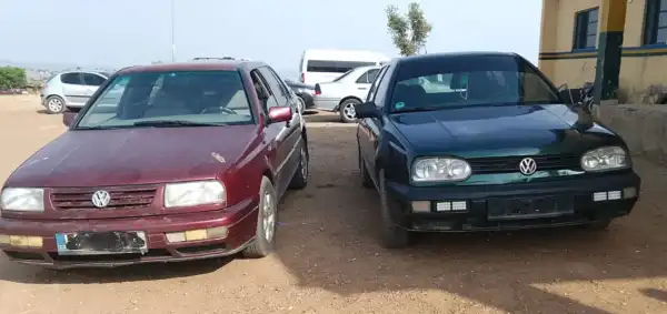Police crack down on fraud syndicate, recover 67 rustled cattle in Niger