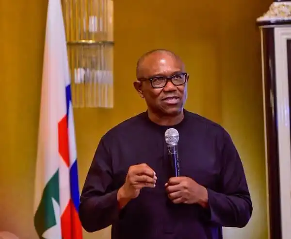 Peter Obi Cautions FG Against Further Borrowings