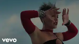 P!NK - TRUSTFALL (Video)