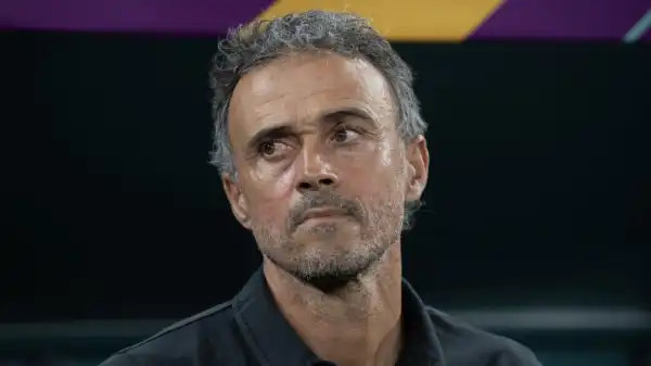 Spain announce successor to Luis Enrique