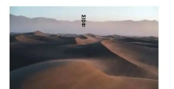 Monkey Safari – Chari Chari