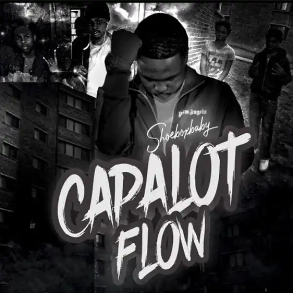 ShoeBox Baby – Capalot Flow (Polo G – “GNF” Remix!) (Instrumental)