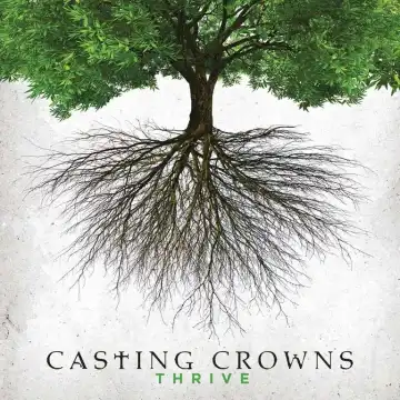 Casting Crowns - Love You With the Truth