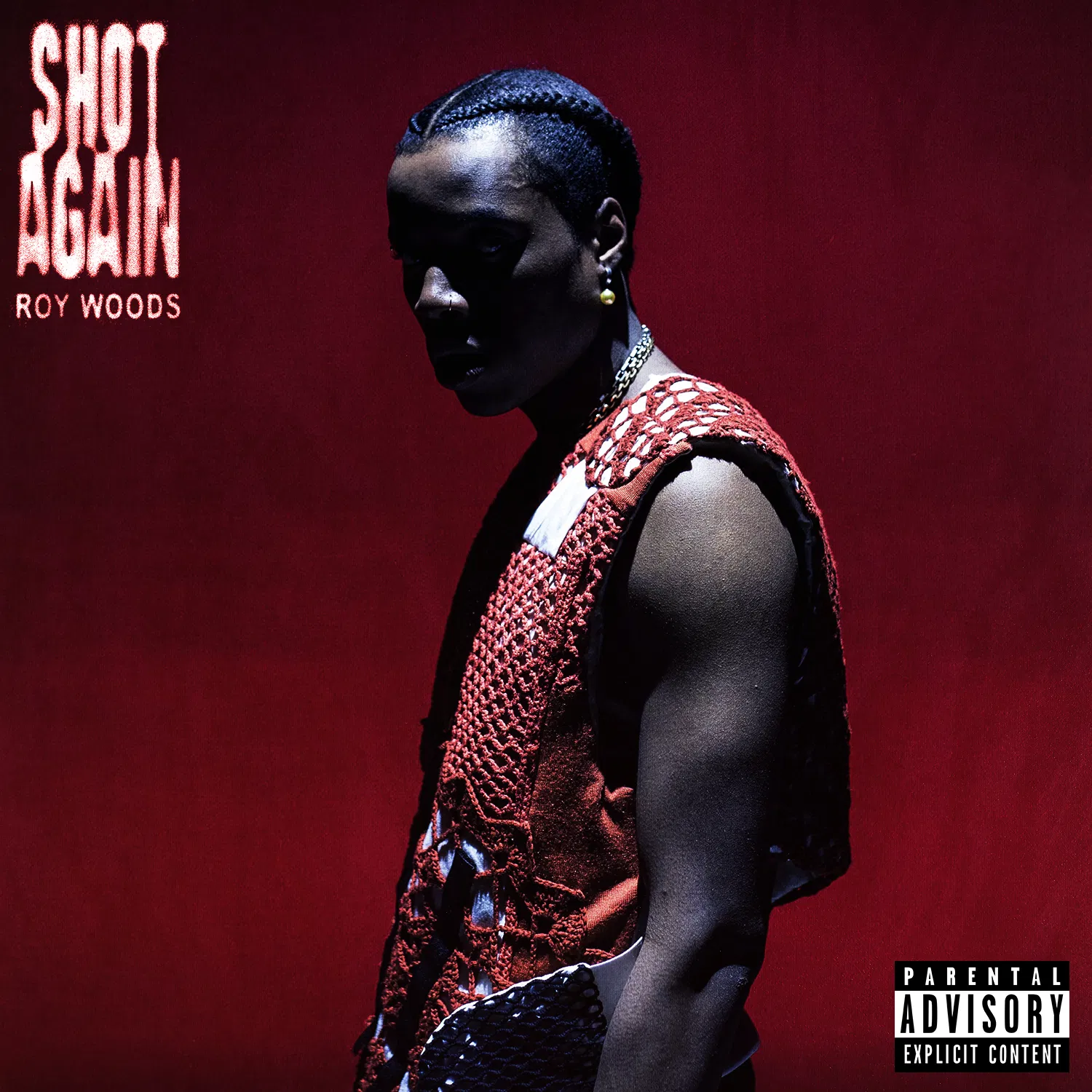 Roy Woods – Shot Again