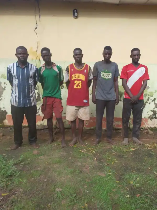 Nigerian Army arrests five suspected armed criminals