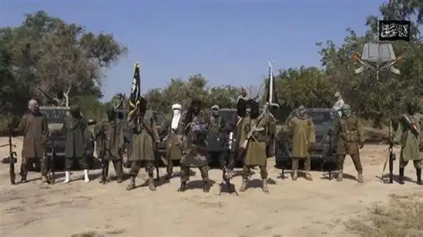 Boko Haram members k!ll their top leader and others over attempt to form faction