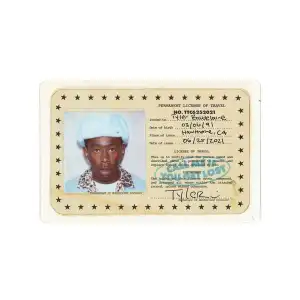 Tyler The Creator - Call Me If You Get Lost (Album)
