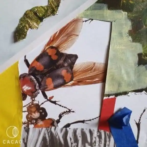 Cee ElAssaad, KEENE – Ake Yoruba