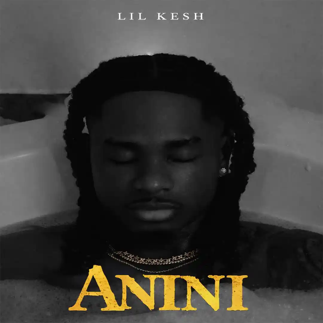 Lil Kesh – Anini (Thief)