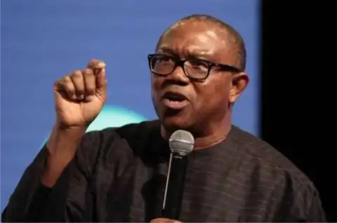 Peter Obi: People Are Calling The Schools I Attended To Know If I Was A Student