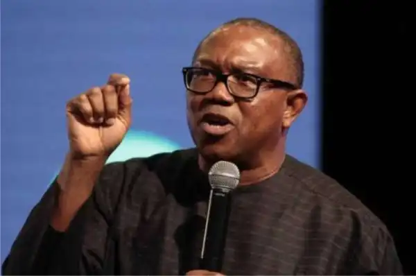 Peter Obi: People Are Calling The Schools I Attended To Know If I Was A Student