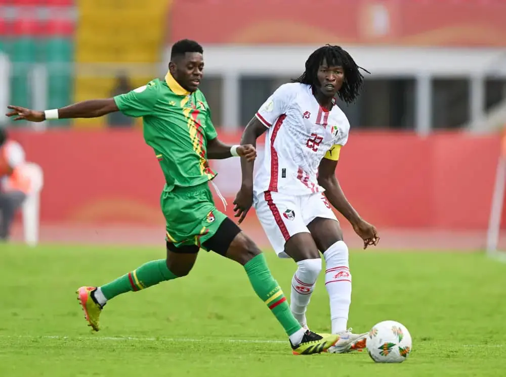 CHAN: Nigeria occupy bottom spot in Group D table behind Senegal, Sudan, Congo