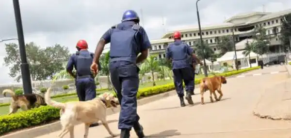 22-Year-Old Man Lands In Hot Soup After Burgling Mosque In Kano