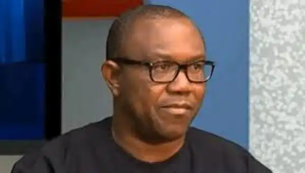 Peter Obi Movement Is Now Bigger Than Obi Himself - Arewa Community