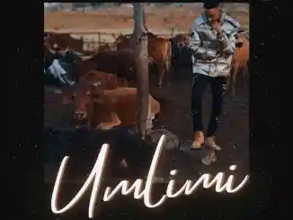 Dj Farmer – Yithi Sizwe ft. ProSoul Da Deejay & Kabelo Sings