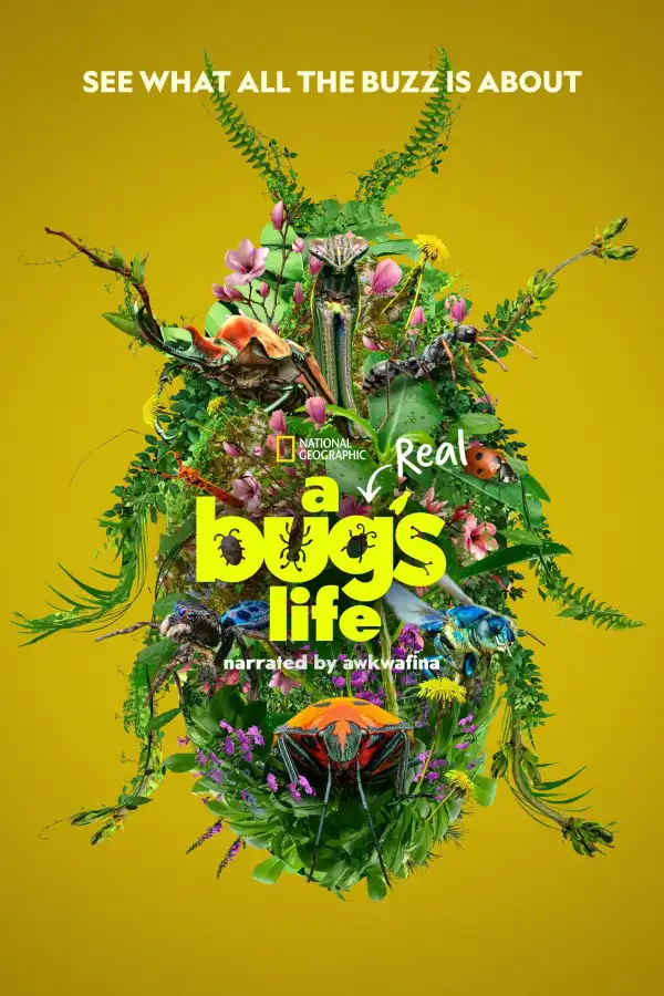 A Real Bugs Life S02 E05