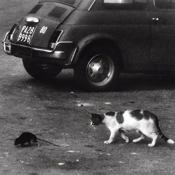 Conway The Machine Ft. Wun Two – Brick by Brick