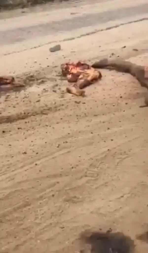 Mother and child crushed to death by a petrol tanker in Delta (photos)