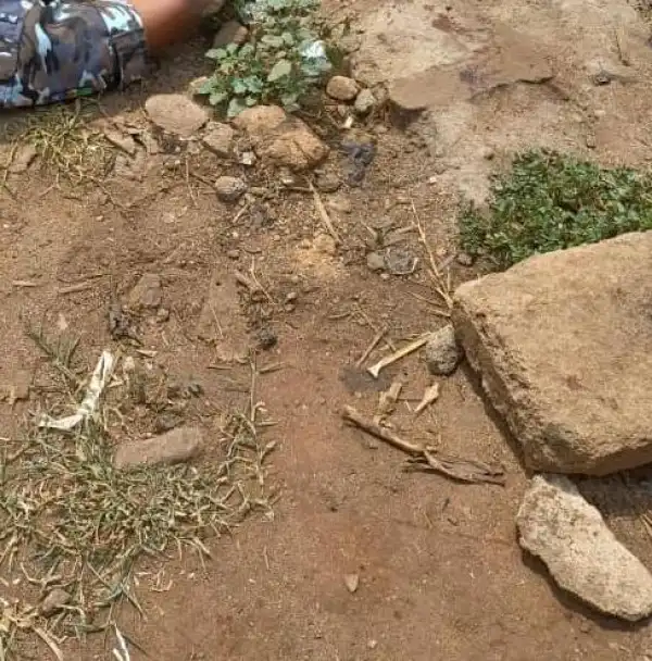 Gunmen Kill One Police Officer, Two Bystanders In Imo