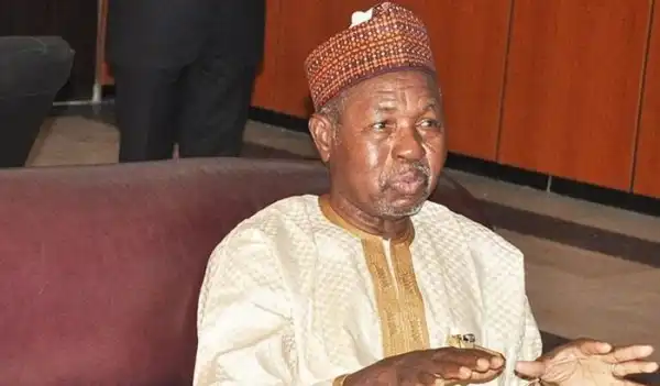 Political Thuggery Turns Good People Away From Politics – Masari
