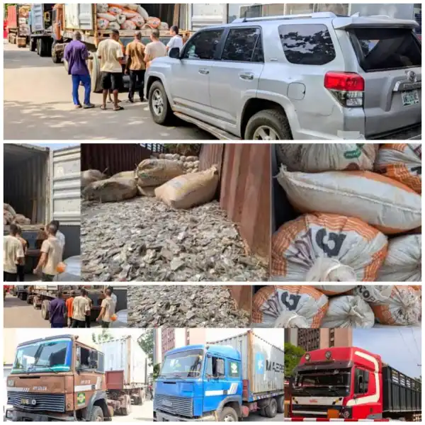 Ogun illegal mining site, trucks forfeited to FG by court order — EFCC