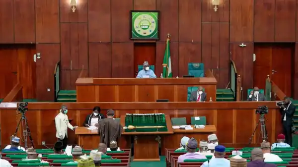 Why we rejected N3trillion in 6 months subsidy spending — Lawmaker