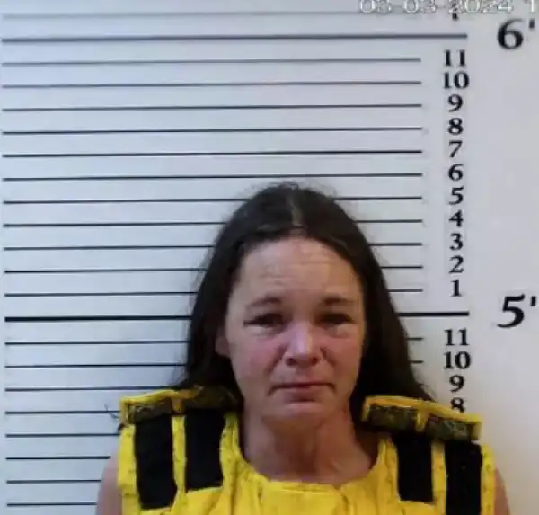 Mom Arrested Over Murder Of 4-year-old Twin Sons