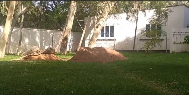 Buhari: Christians hail Muslims over ‘costless’ burials, decry lavish funeral rites in southern Nigeria