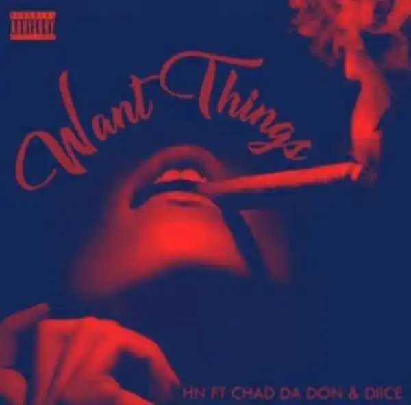 Hn – Want Things Ft Chad Da Don & Diiice