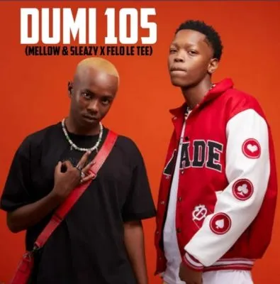 Dumi 105 – To mellow & Sleazy X Felo Le Tee