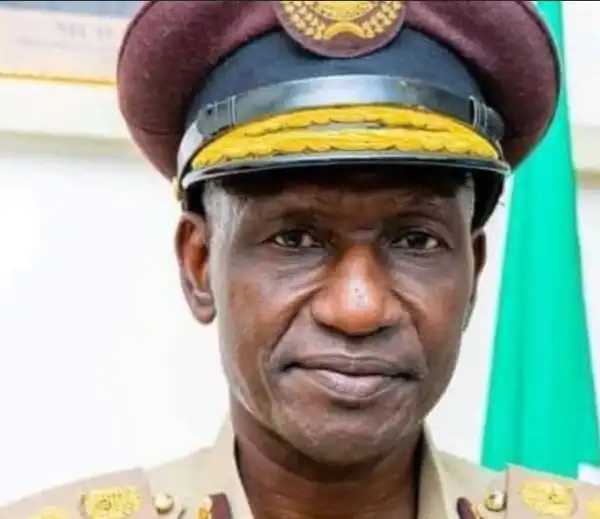 We Will Arrest Foreigners Participating In 2023 Polls – NIS CG