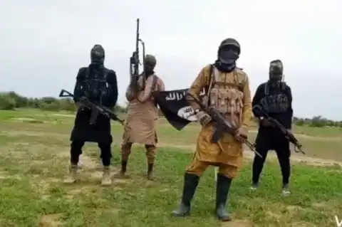 Nine ISWAP fighters reportedly die in cholera outbreak in Borno