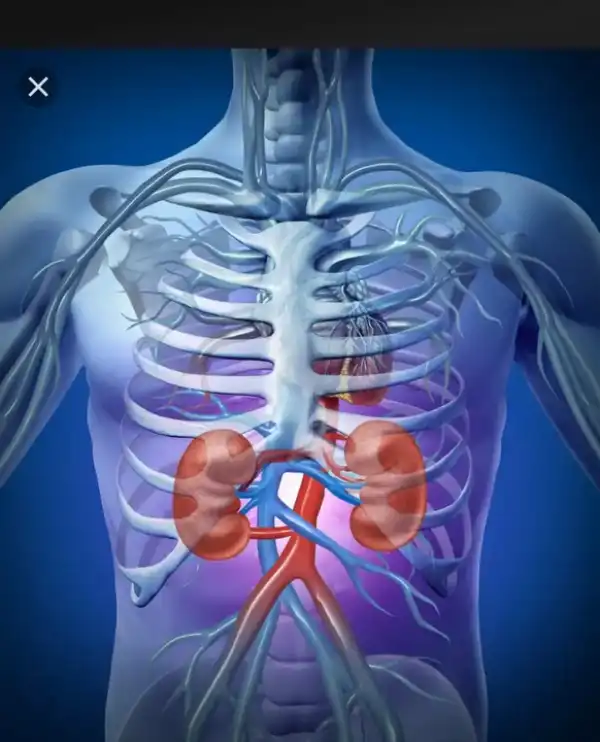 The Top 6 Causes Of Kidney Disease