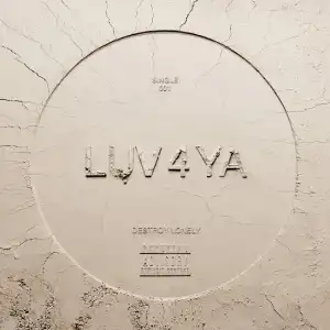 Destroy Lonely – LUV 4 YA