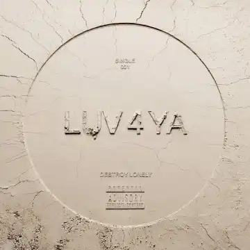 Destroy Lonely – LUV 4 YA
