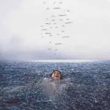Shawn Mendes –  Wonder (Album)