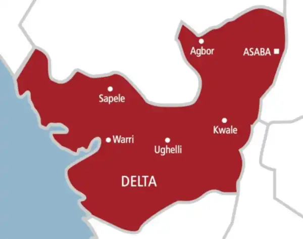 Ozoro: Alleged sexual assault will not occur again across Delta – Stakeholders assure