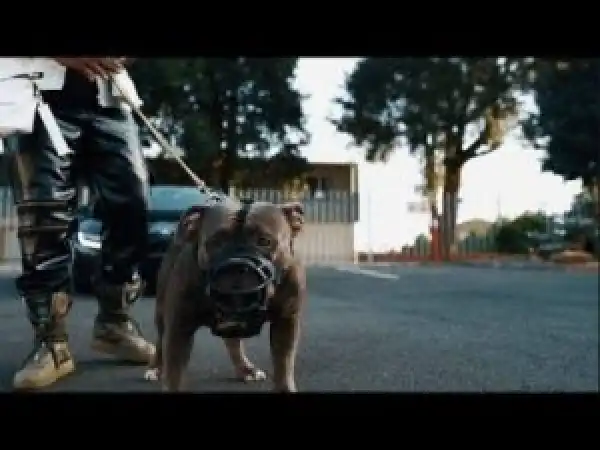 Big Monii – We Go Dey Ok (Video)