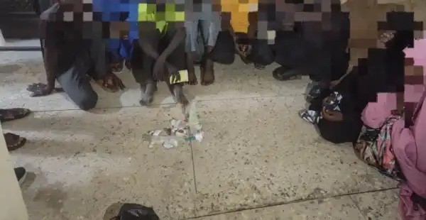 Police raid criminal black spots, arrest 63 suspects, recover illicit drugs in Yobe