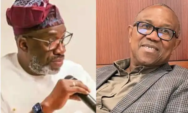 Coalition: Peter Obi my greatest disappointment  —  Sowunmi