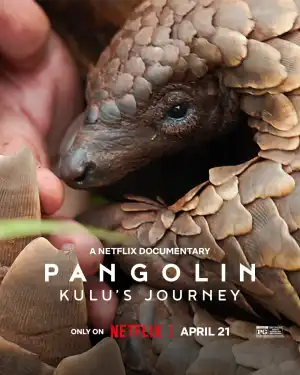 Pangolin Kulus Journey (2025)