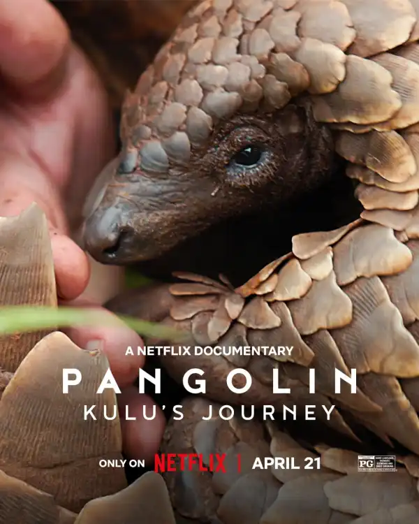 Pangolin Kulus Journey (2025)