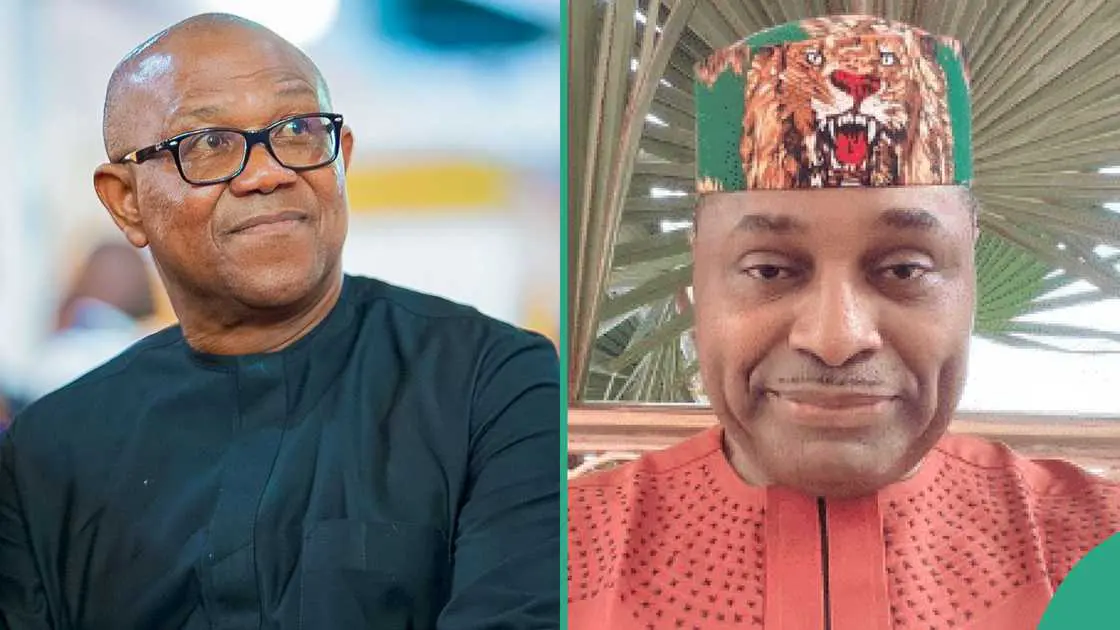 LP crisis: Abure faction deceived Peter Obi – Kenneth Okonkwo