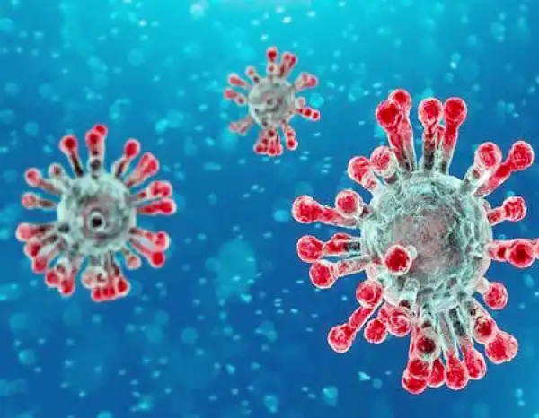 BCG, tuberculosis vaccine, being tested for use against COVID-19