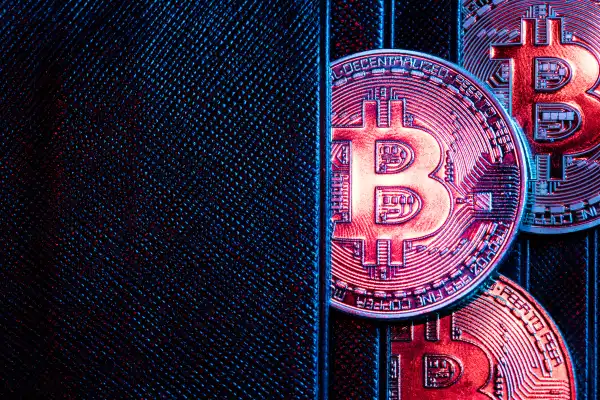 Paypal to Let Users Move Their Crypto Into Third-Party Wallets