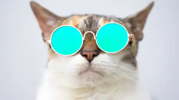 Live-Action The Aristocats Remake in the Works at Disney