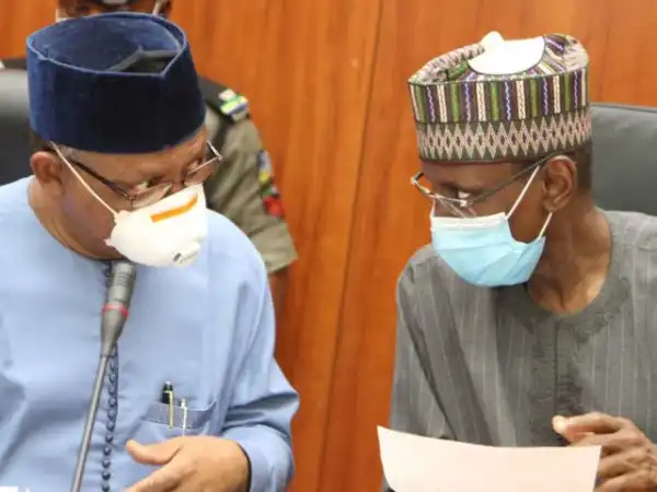 FG says Madagascar’s COVID-19 drug same as ‘sweet annie’ used for malaria treatment