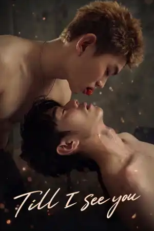 Till I See You (2026) [Chinese] (TV series)