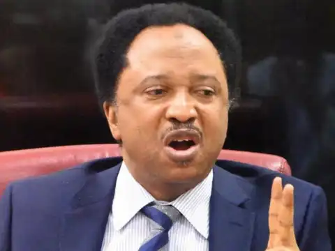 Kaduna LG Fund Diversion Allegation: Shehu Sani challenges El-Rufai to show proof against Uba Sani